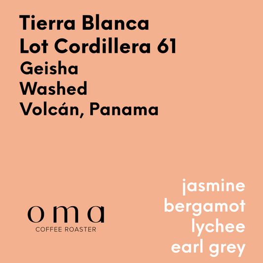 OMA - Tierra Blanca Lot Cordillera 61 (2024 BoP GW-05 same region and processing) - Panama - Washed - Geisha