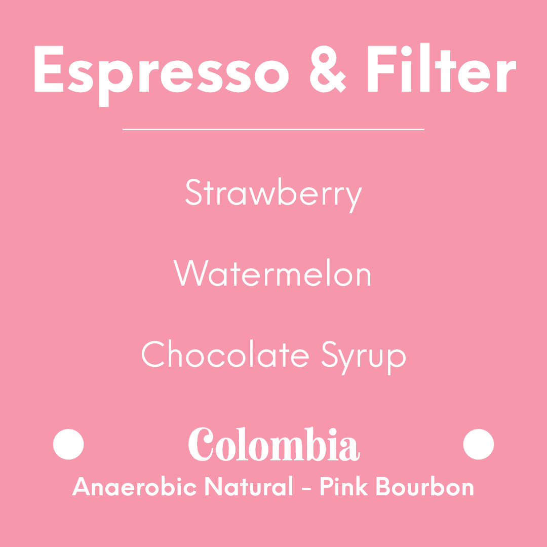 HATCH - El Diviso - Colombia - Anaerobic Natural - Pink Bourbon