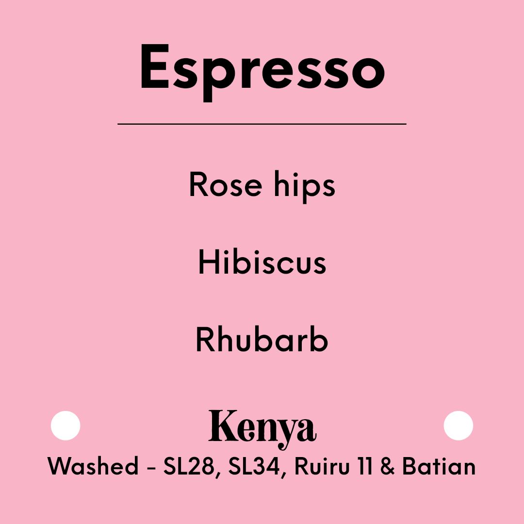 TIM WENDELBOE - Gachatha Espresso - Kenya - Washed - SL28, SL34, Ruiru 11 & Batian