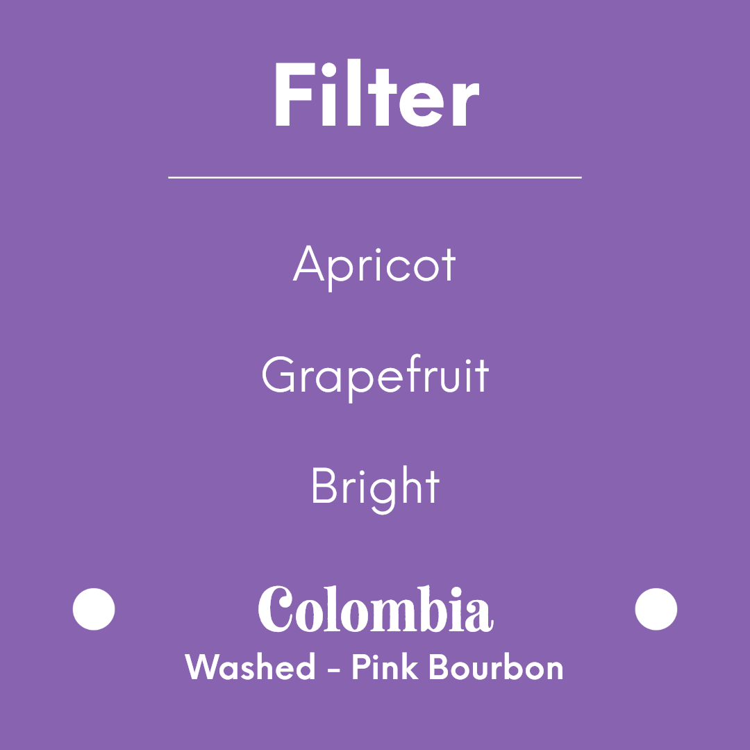 PRODIGAL - La Pelota - Colombia - Washed - Pink Bourbon