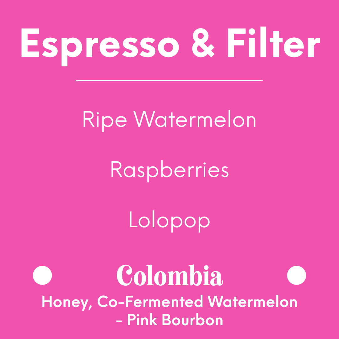 DAK - Melondo - Colombia - Honey, Co-Fermented Watermelon - Pink Bourbon