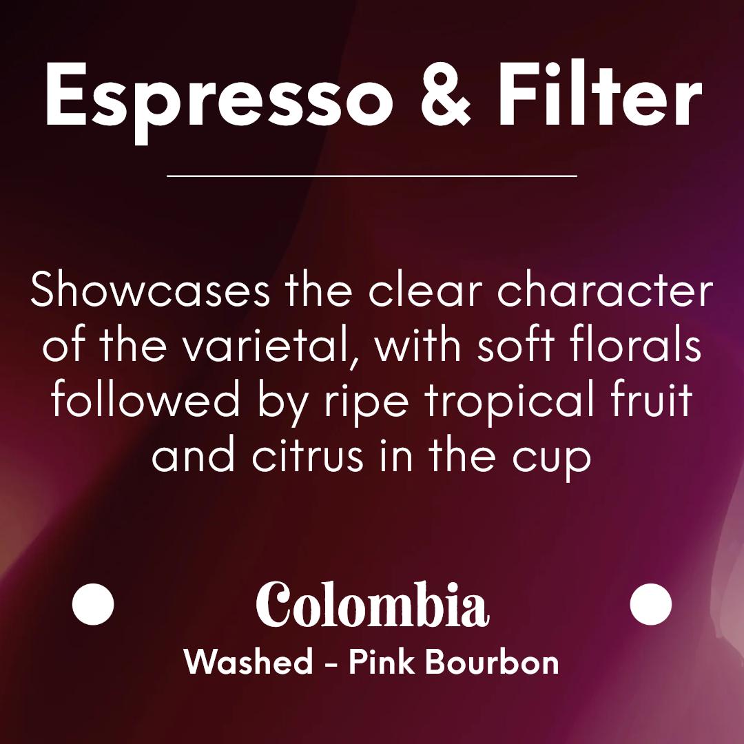 LA CABRA - Potosí Washed - Colombia - Washed - Pink Bourbon