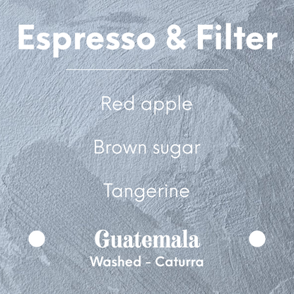 LA CABRA - Adaly Herrera - Guatemala - Washed - Caturra