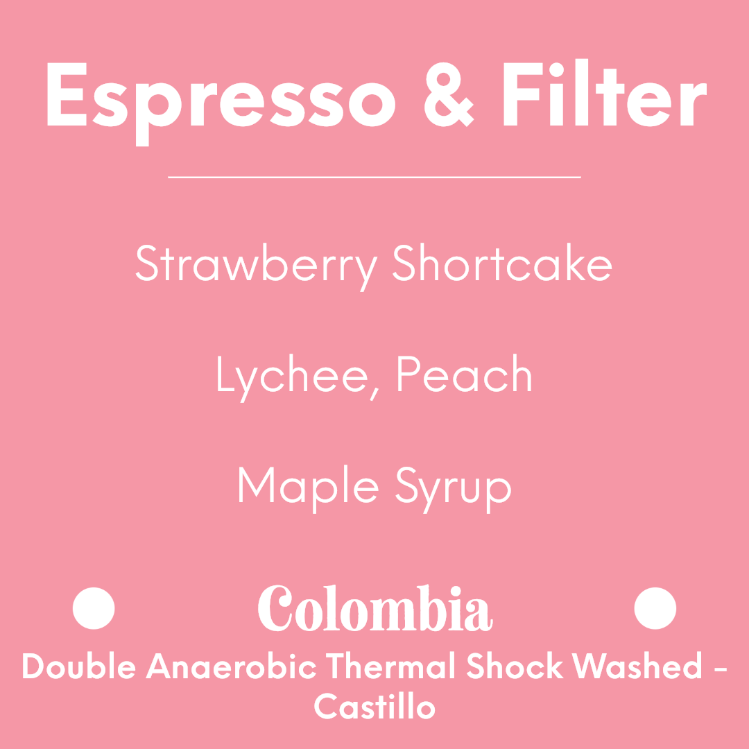 HATCH - El Paraiso Lychee Castillo - Colombia - Double Anaerobic Thermal Shock Washed - Castillo