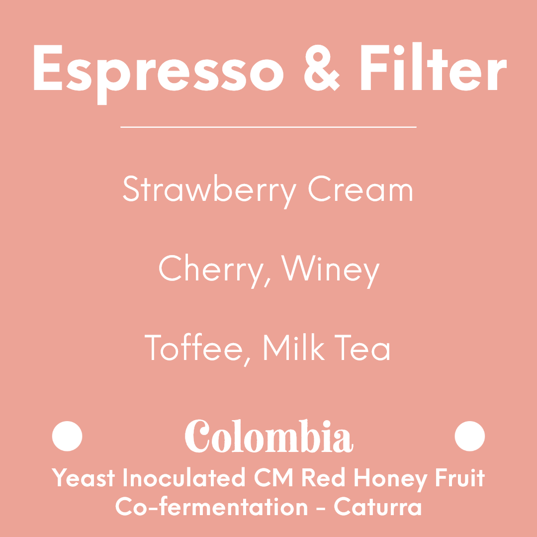 HATCH - El Placer 'Red Fruit' Decaf - Colombia - Yeast Inoculated CM Red Honey Fruit Co-fermentation - Caturra