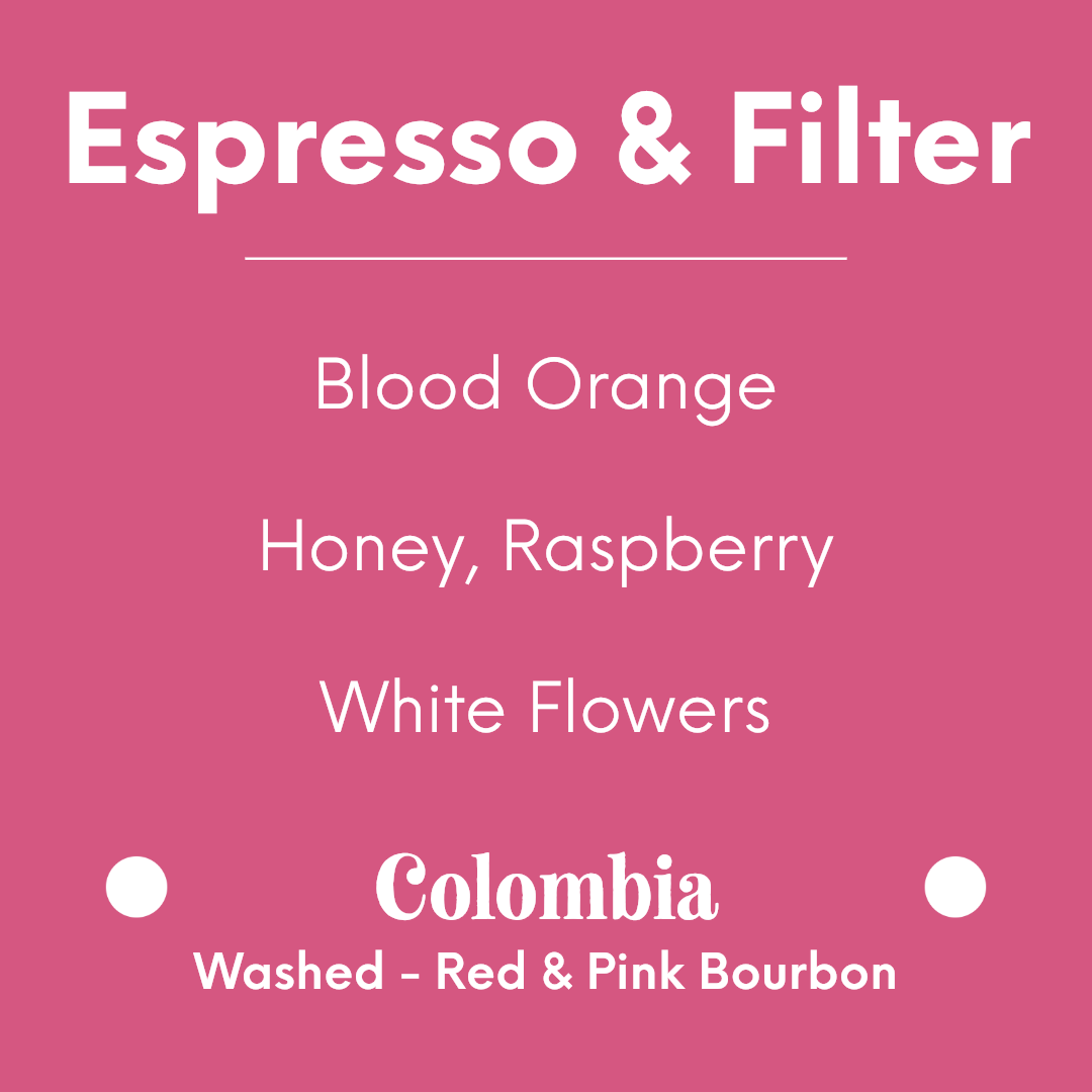 DAK - Pink Balloon - Colombia - Washed - Red & Pink Bourbon