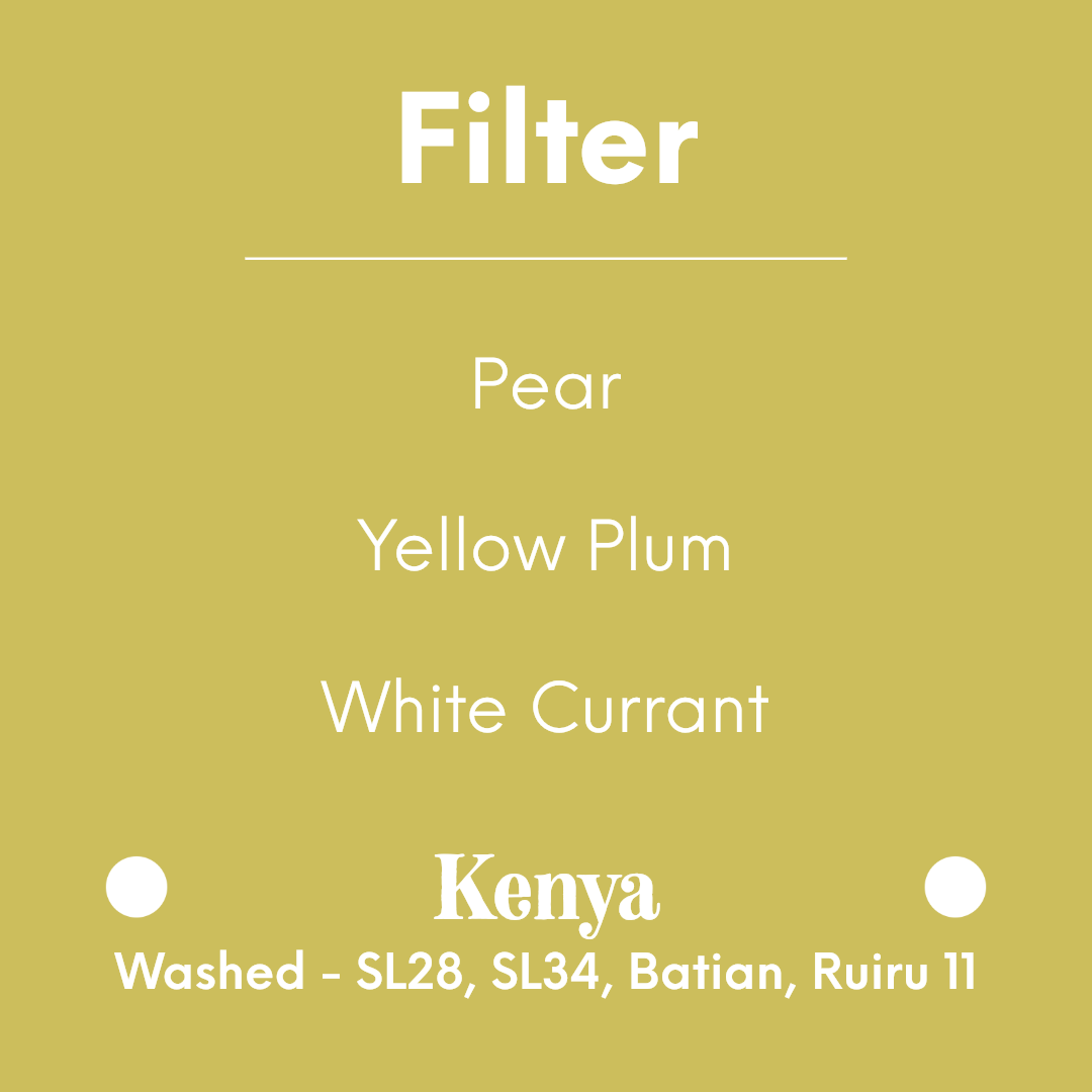 DAK - Pastel Pear - Kenya - Washed - SL28, SL34, Batian, Ruiru 11