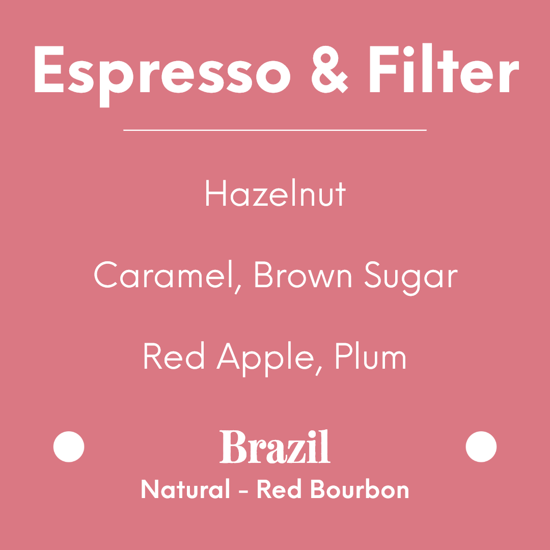 LILO - Fazenda Baú Tomio Fukuda - Brazil - Natural - Red Bourbon