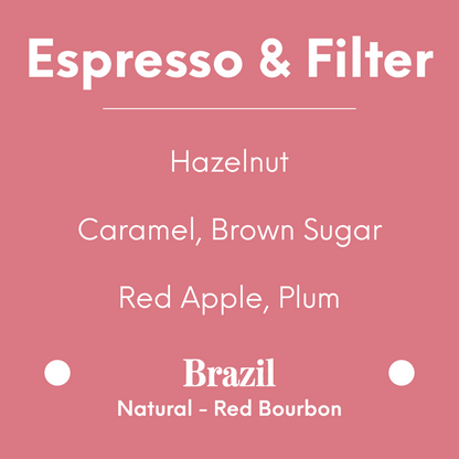 LILO - Fazenda Baú Tomio Fukuda - Brazil - Natural - Red Bourbon