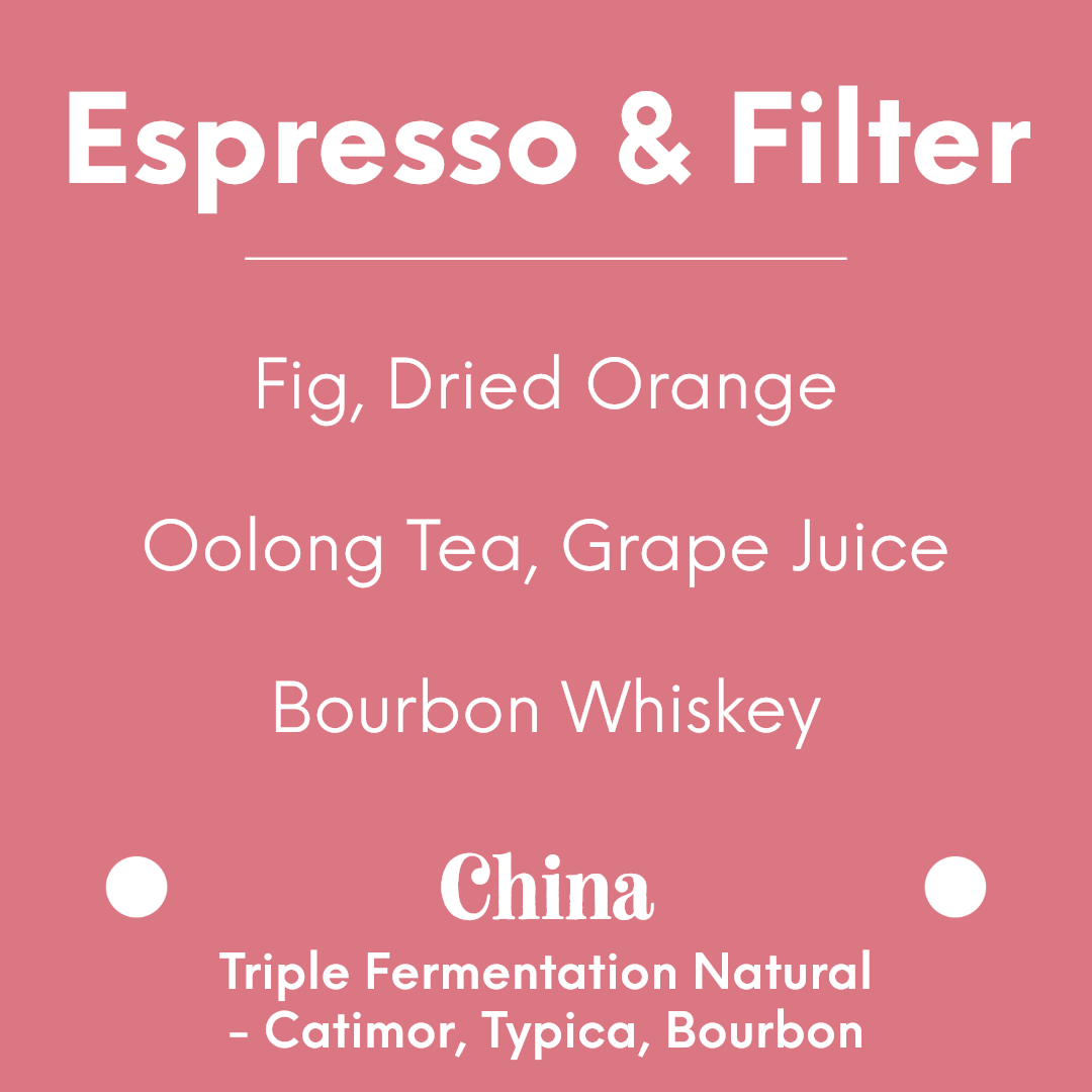 LILO - Yunnan Silanjia - China - Triple Fermentation Natural - Catimor, Typica, Bourbon