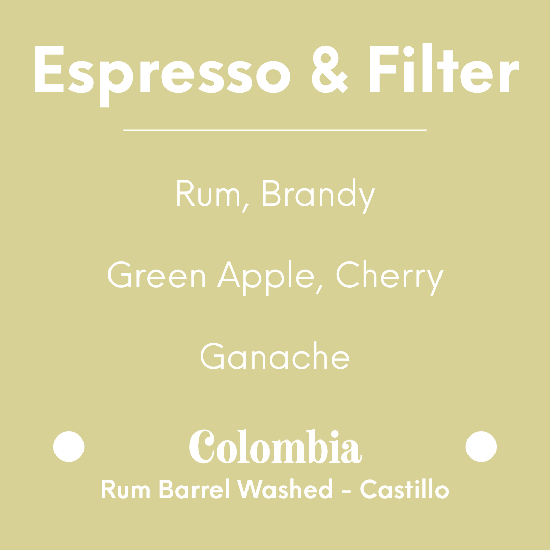 LILO - Finca San Jose Monsalve Botero - Colombia - Rum Barrel Washed - Castillo