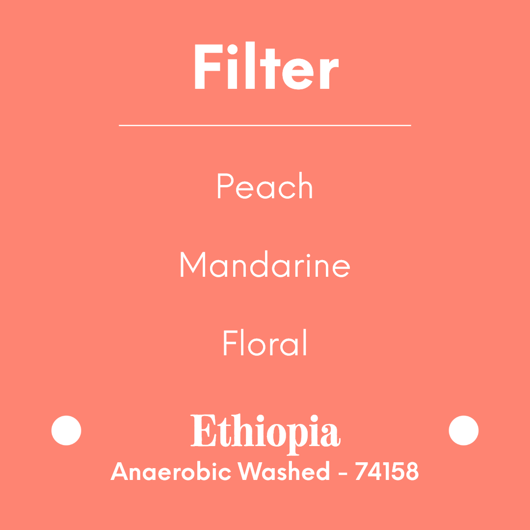 DAK - Darling Peach - Ethiopia - Anaerobic Washed - 74158