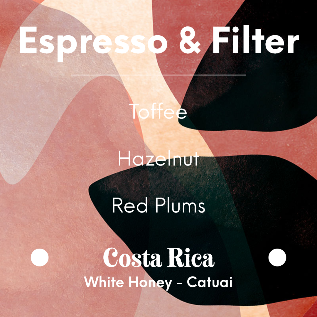 KAWA - Santa Teresa - Costa Rica - White Honey - Catuai