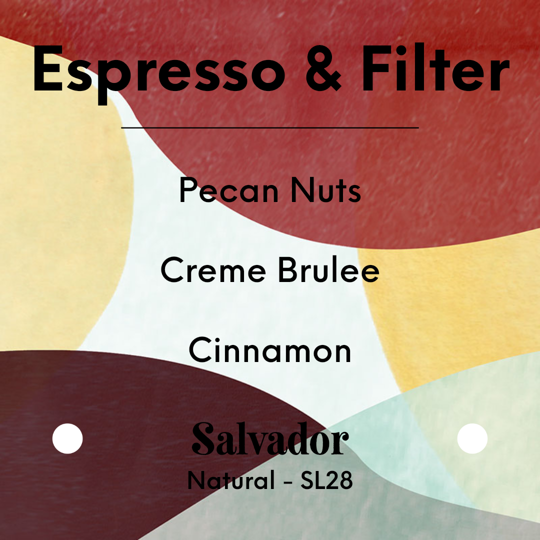 KAWA - Finca San Antonio - El Salvador - Natural - SL28