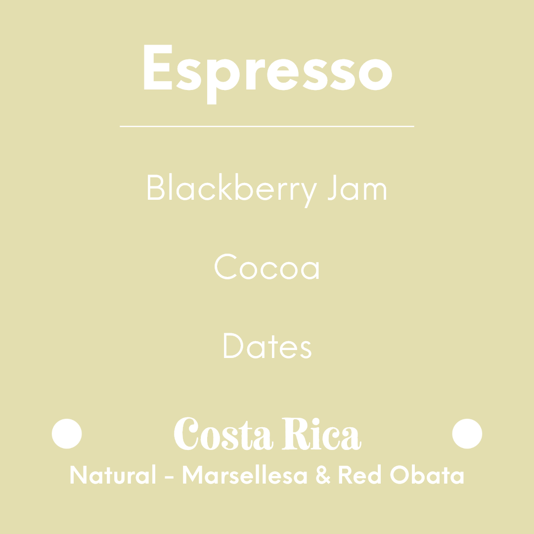 DAK - Tropical Punch - Costa Rica - Natural - Marsellesa & Red Obata