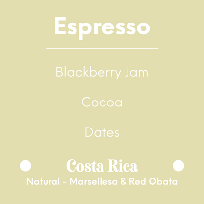 DAK - Tropical Punch - Costa Rica - Natural - Marsellesa & Red Obata