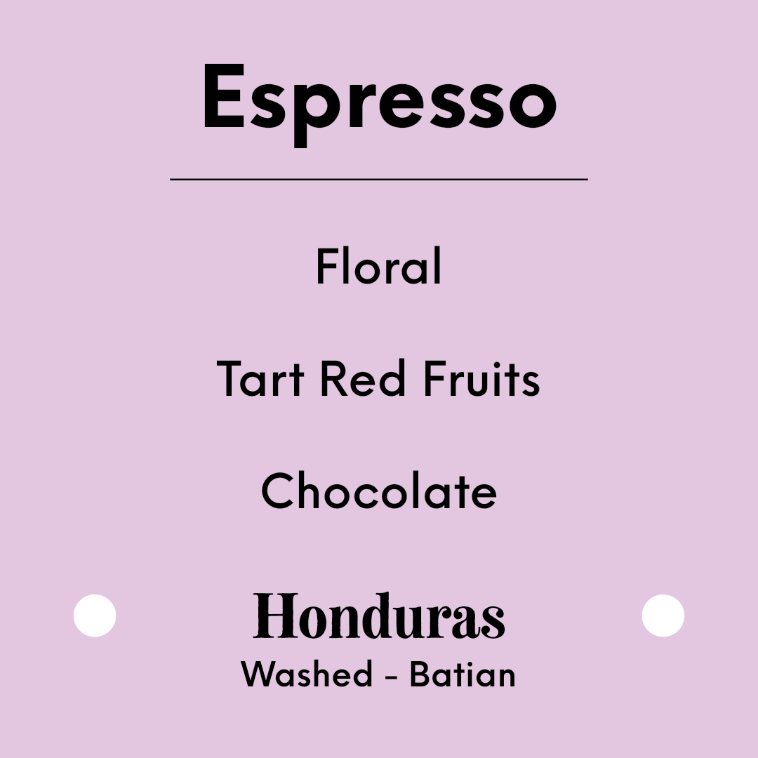 TIM WENDELBOE - Caballero Batian Espresso - Honduras - Washed - Batian