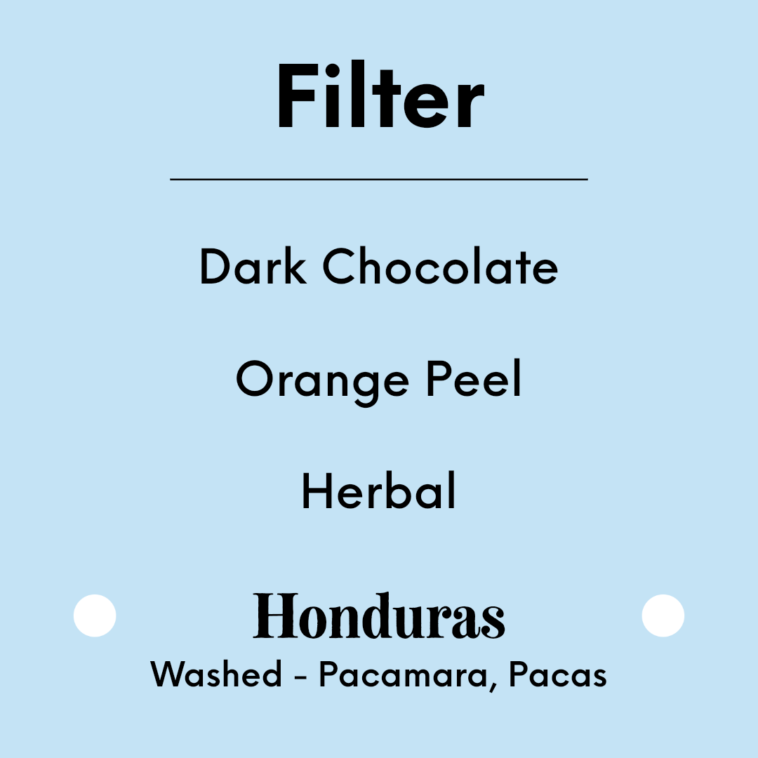 TIM WENDELBOE - Finca Bertha - Honduras - Washed - Pacamara, Pacas