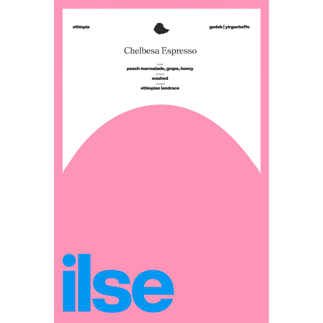 ILSE COFFEE - Chelbesa Espresso - Ethiopia - Washed - Ethiopian Landrace