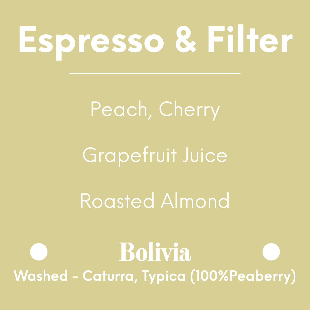 LILO - Maritza Mamani - Bolivia - Washed - Caturra, Typica (100%Peaberry)