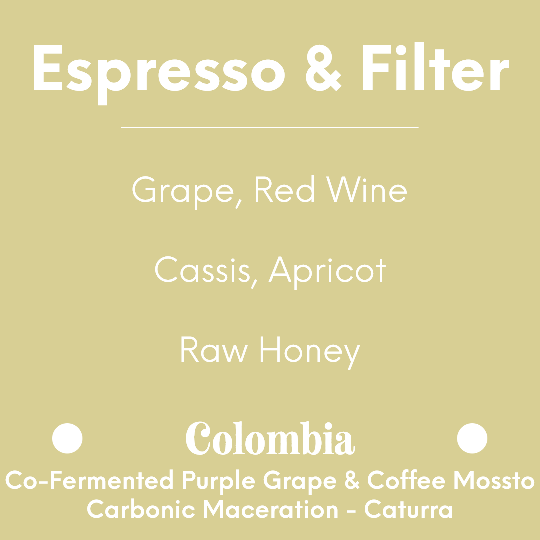 LILO - Santuario Project - Colombia - Co-Fermented Purple Grape & Coffee Mossto Carbonic Maceration - Caturra