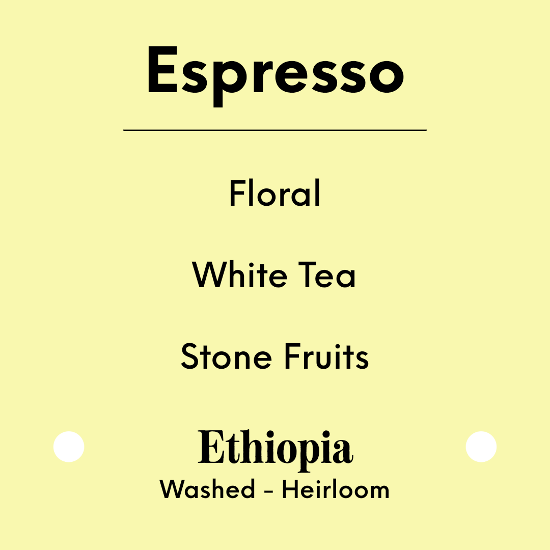 TIM WENDELBOE - Echemo Espresso - Ethiopia - Washed - Heirloom