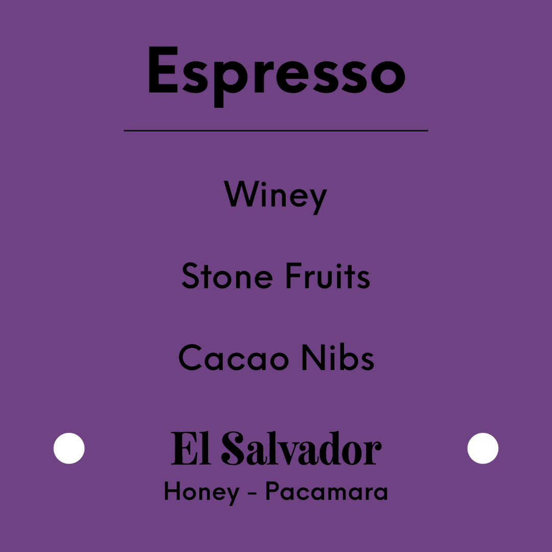 TIM WENDELBOE - Los Pirineos Pacamara Espresso – Christmas Edition - El Salvador - Honey - Pacamara