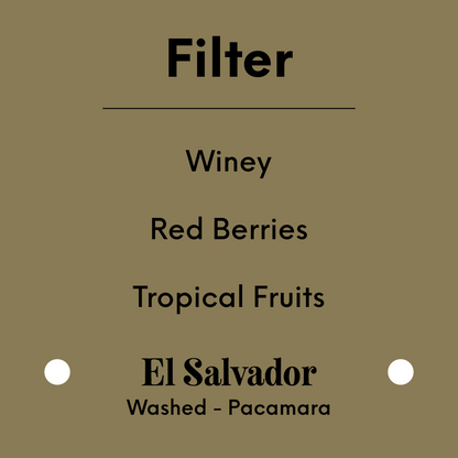 TIM WENDELBOE - Los Pirineos Pacamara – Christmas Edition - El Salvador - Washed - Pacamara