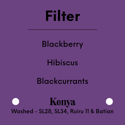 TIM WENDELBOE - Karogoto – Christmas Edition - Kenya - Washed - SL28, SL34, Ruiru 11 & Batian