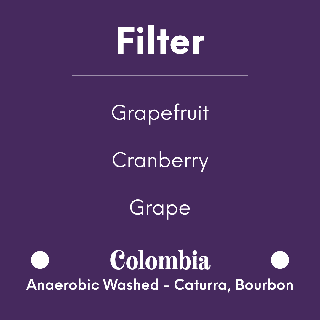 PRODIGAL - Velvet Bliss - Colombia - Anaerobic Washed - Caturra, Bourbon