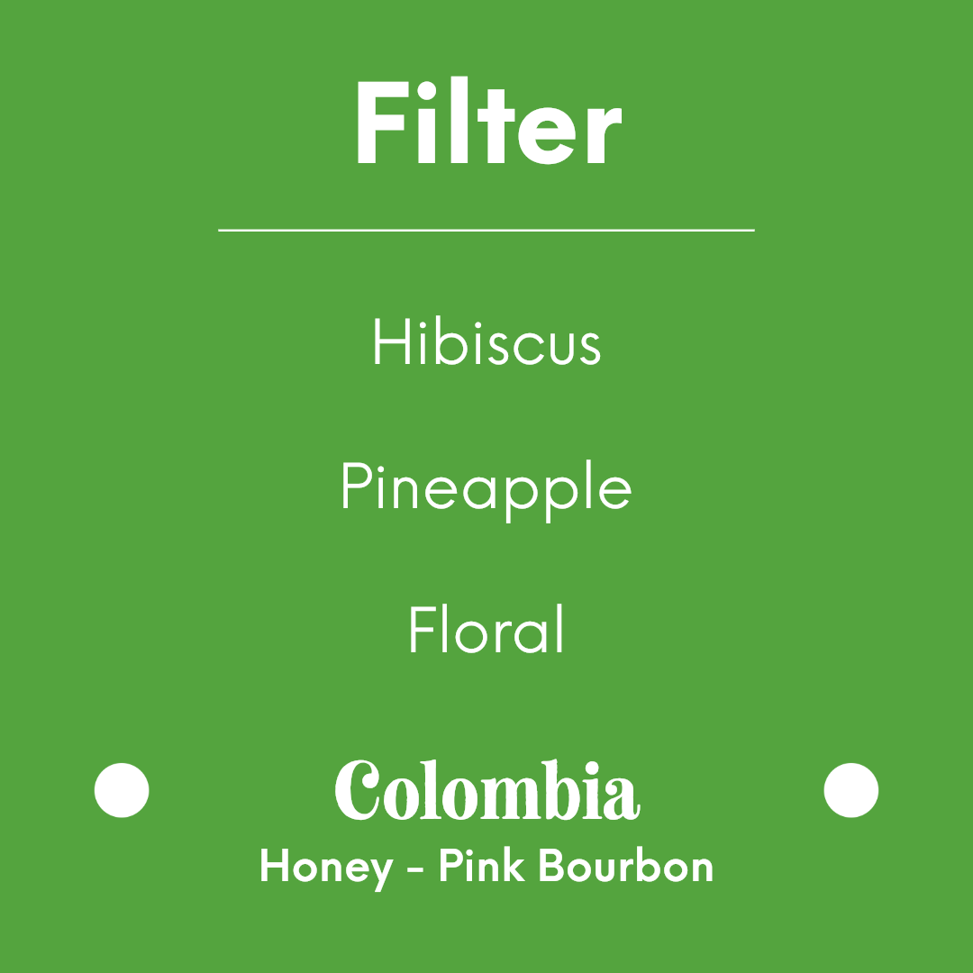 PRODIGAL - Finca La Filadelfia - Colombia - Honey - Pink Bourbon