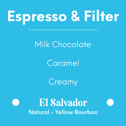 Proud Mary - El Manzano - El Salvador - Natural - Yellow Bourbon