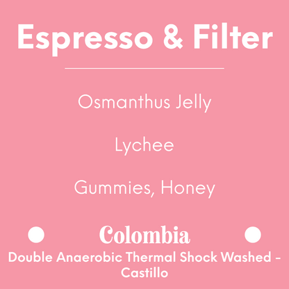 HATCH - El Paraiso Lychee Castillo - Colombia - Double Anaerobic Thermal Shock Washed - Castillo