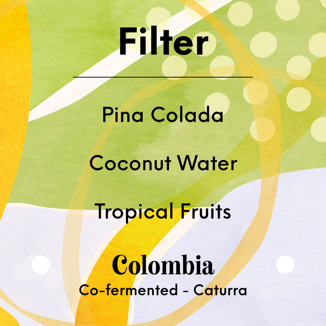 KAWA - Finca Milan [Coconut #2] - Colombia - Co-fermented - Caturra