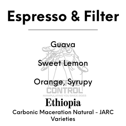 PEOPLE POSSESSION - Bona Zuria - Ethiopia - Carbonic Maceration Natural - JARC Varieties