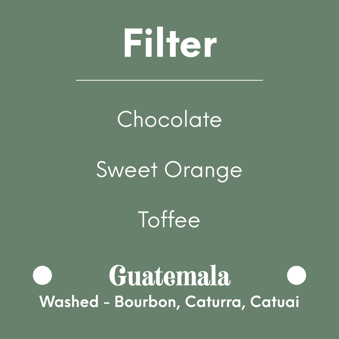 COFFEE COLLECTIVE - Vista Hermosa - Guatemala - Washed - Bourbon, Caturra, Catuai