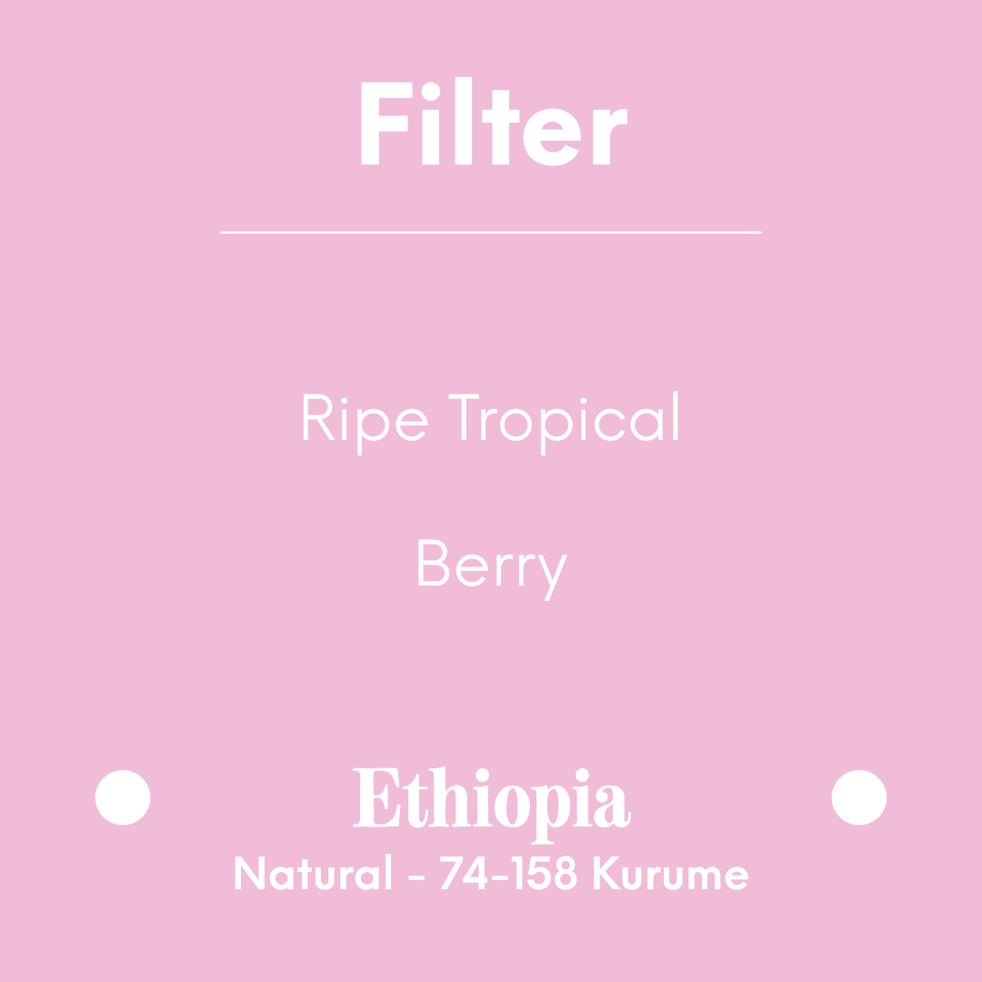 COFFEE COLLECTIVE - Bekele Natural - Ethiopia - Natural - 74-158 Kurume