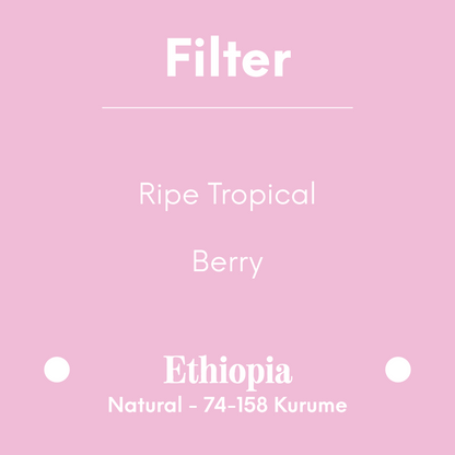 COFFEE COLLECTIVE - Bekele Natural - Ethiopia - Natural - 74-158 Kurume