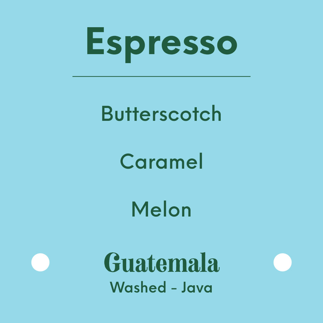 APRIL - El Socorro Espresso - Guatemala - Washed - Java