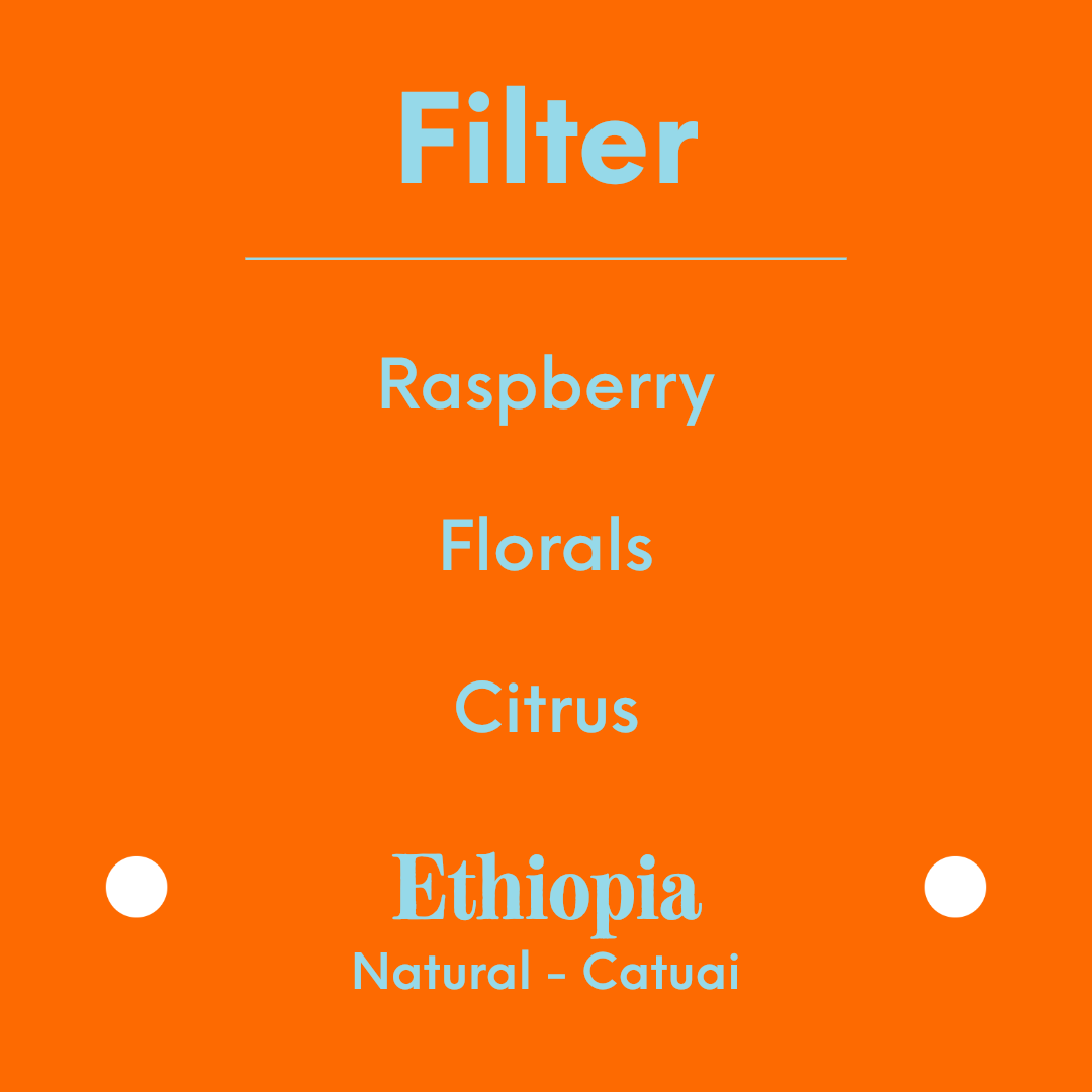 APRIL - Regessa Filter - Ethiopia - Natural - Krume 74158