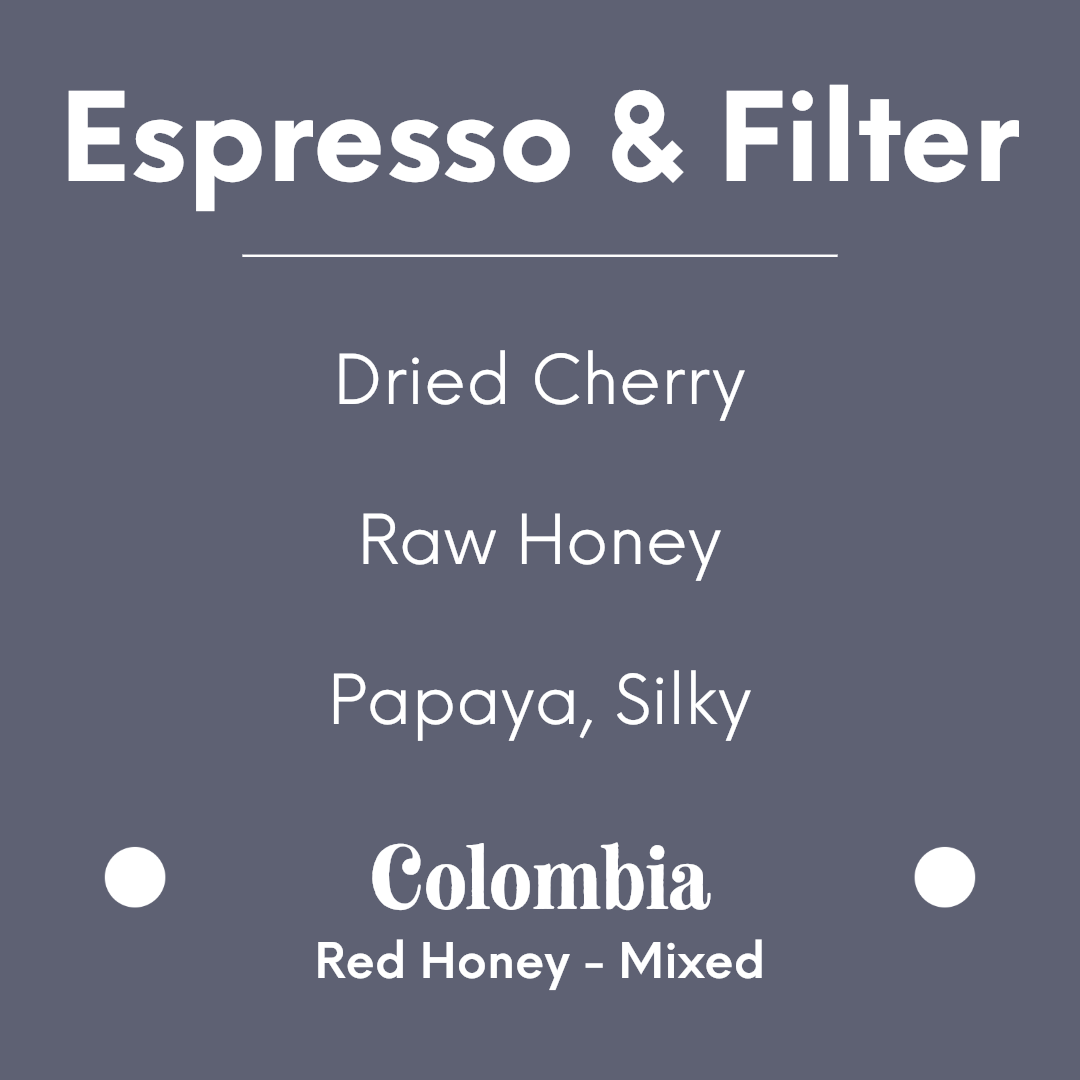 ONYX - Colombia Aponte Village Honey - Colombia - Red Honey - Mixed