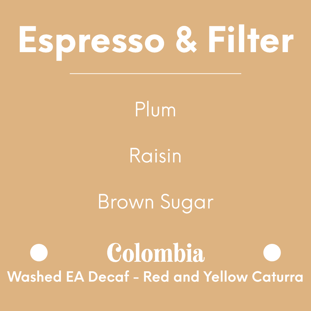 HATCH - Decaf El Vergel - Colombia - Washed EA Decaf - Red and Yellow Caturra