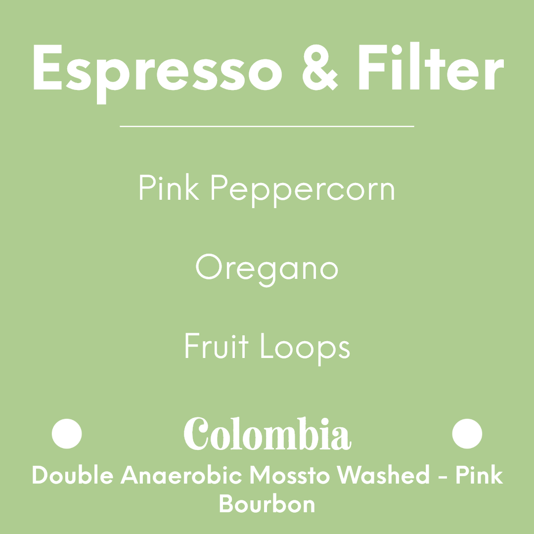 HATCH - El Diviso - Colombia - Double Anaerobic Mossto Washed - Pink Bourbon