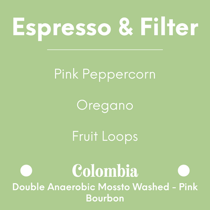 HATCH - El Diviso - Colombia - Double Anaerobic Mossto Washed - Pink Bourbon