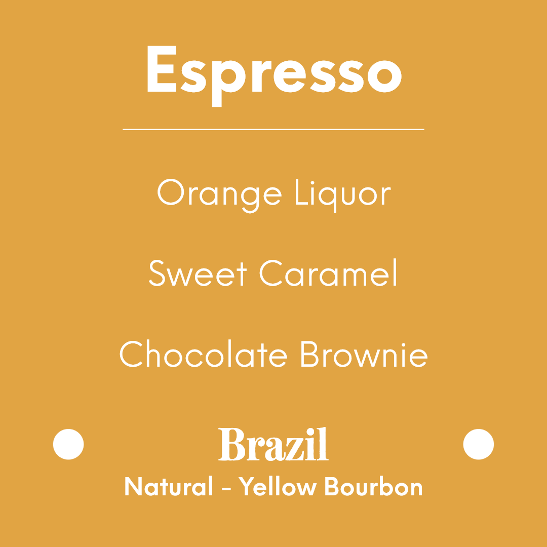 DAK - Dulcedo - Brazil - Natural - Yellow Bourbon