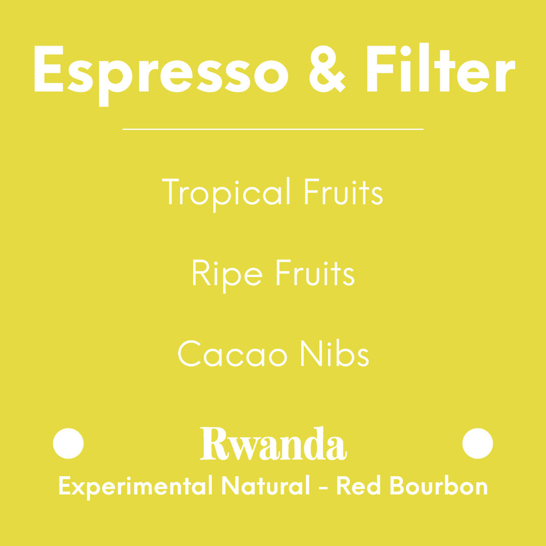 DAK - The Alchemist - Rwanda - Experimental Natural - Red Bourbon