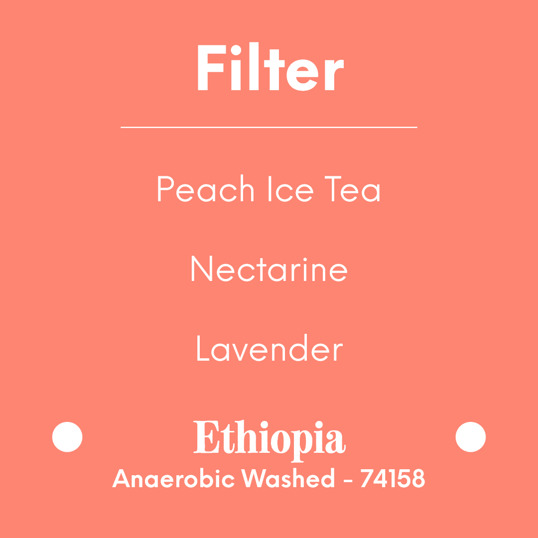 DAK - Darling Peach - Ethiopia - Anaerobic Washed - 74158