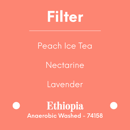 DAK - Darling Peach - Ethiopia - Anaerobic Washed - 74158