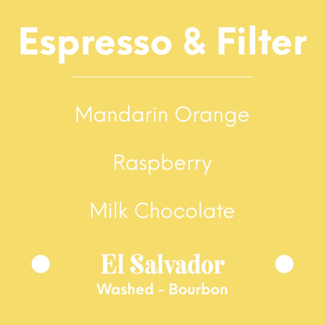 Proud Mary - La Fany - El Salvador - Washed - Bourbon