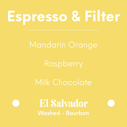 Proud Mary - La Fany - El Salvador - Washed - Bourbon